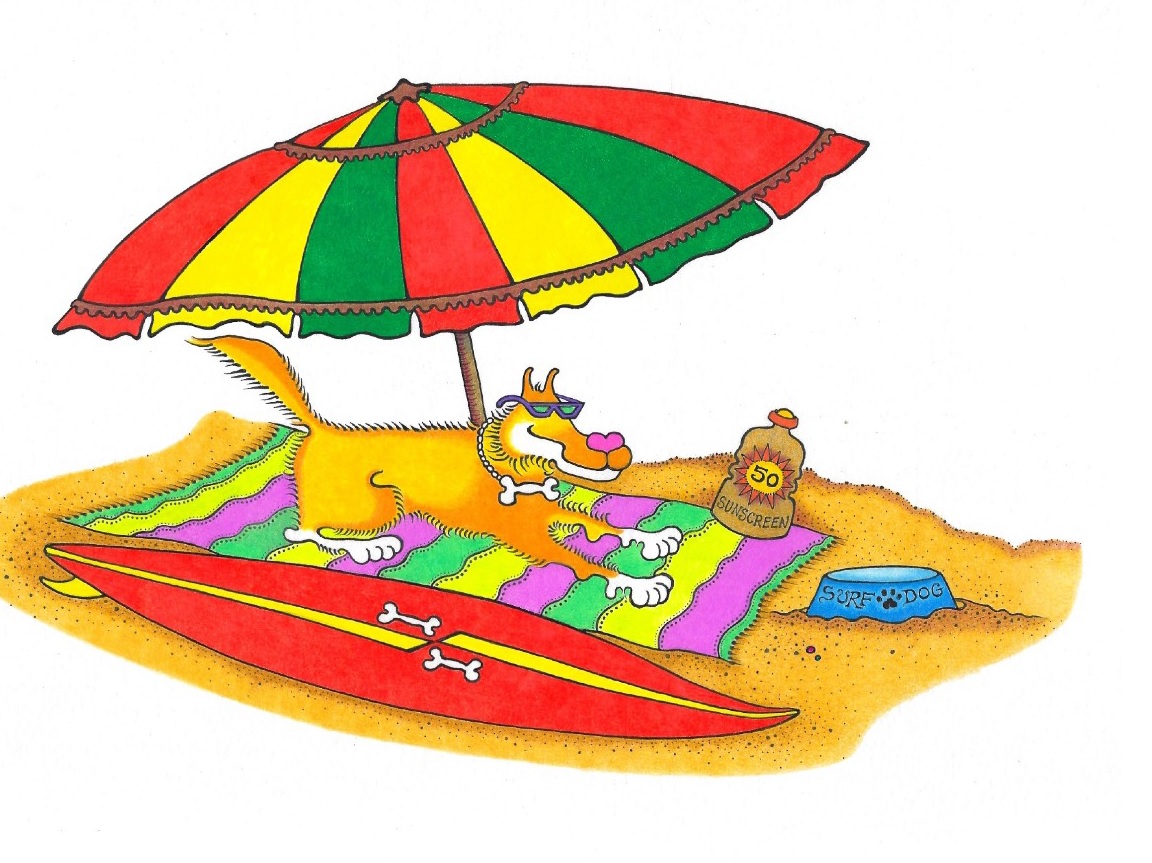 Surf Dog Chasing Some Rays